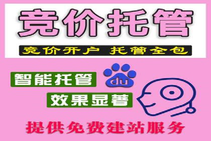 实战经验：SEO与SEM优化案例精选解析